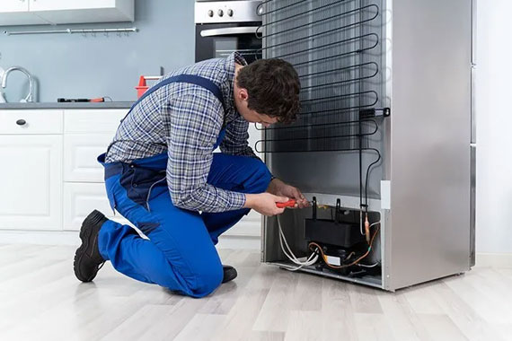 Refrigerator Repair service 